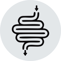 Digestive System Care